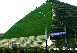 生态袋施工案例