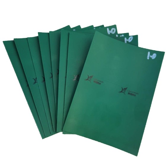 环保绿色体育意甲国际米兰