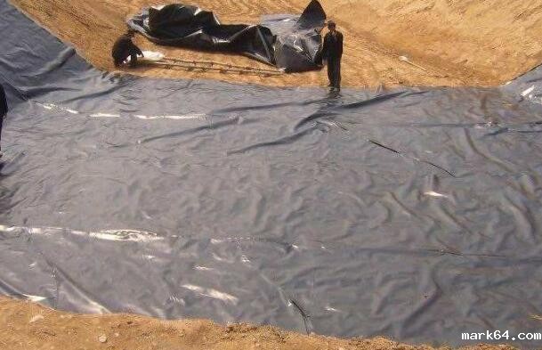 复合体育意甲国际米兰的物理性能有哪些