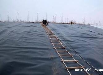 复合体育意甲国际米兰的物理性能有哪些