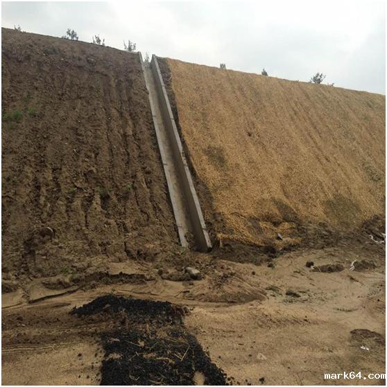 生态护坡椰丝毯在生态环境中的景观体现