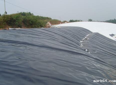 体育意甲国际米兰铺设过程的质量控制