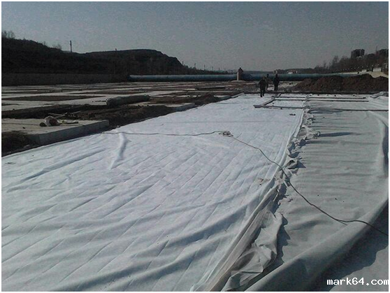 体育意甲国际米兰在大堤堤基垂直铺设的经验