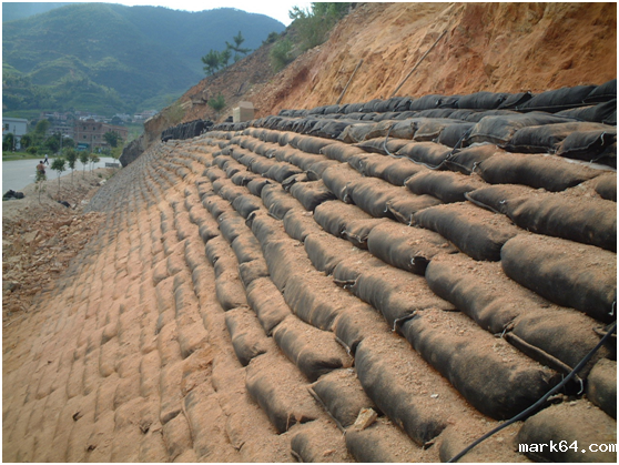 生态袋就地取材集边坡防护和生态绿化为一体