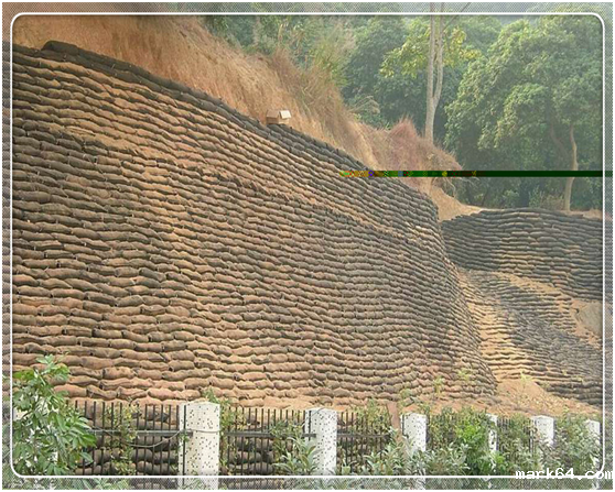 生态袋护岸具体施工策略