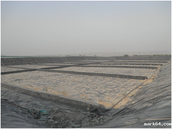 体育意甲国际米兰分子结构和制造工艺的定义