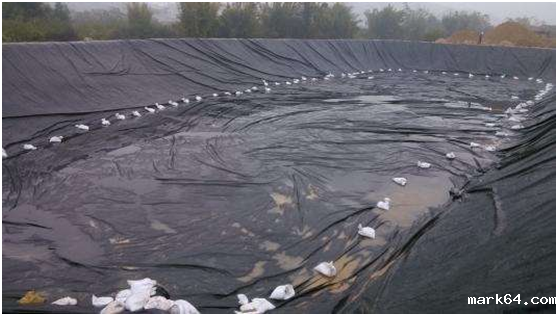 体育意甲国际米兰的拉伸强度与宽度形状约束条件有关