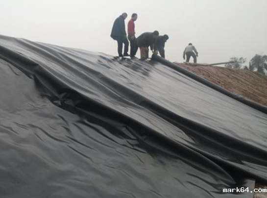 体育意甲国际米兰在道路防渗施工中应用的核心焦点