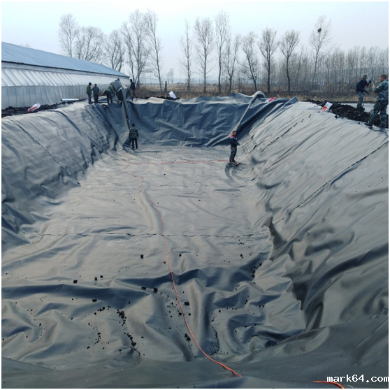 复合体育意甲国际米兰的经济效益被广泛推广