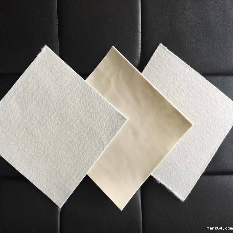 水库碾压混凝大坝的防渗处理技术能用到复合体育意甲国际米兰吗?