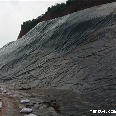 0.5mmHDPE体育意甲国际米兰代替黏土进行覆盖可节约52800m3