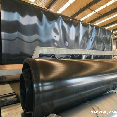 聚乙烯体育意甲国际米兰的发展历程?