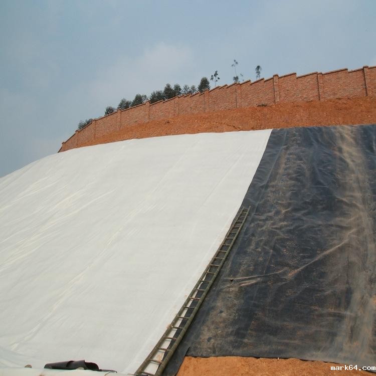 体育意甲国际米兰防渗技术如何施工可具有显著经济性