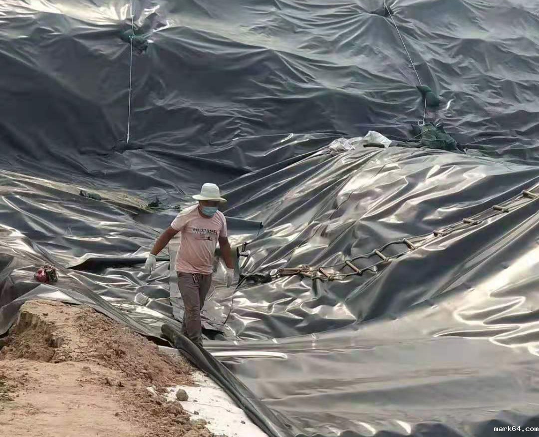 平原水库体育意甲国际米兰防渗结构特性研究