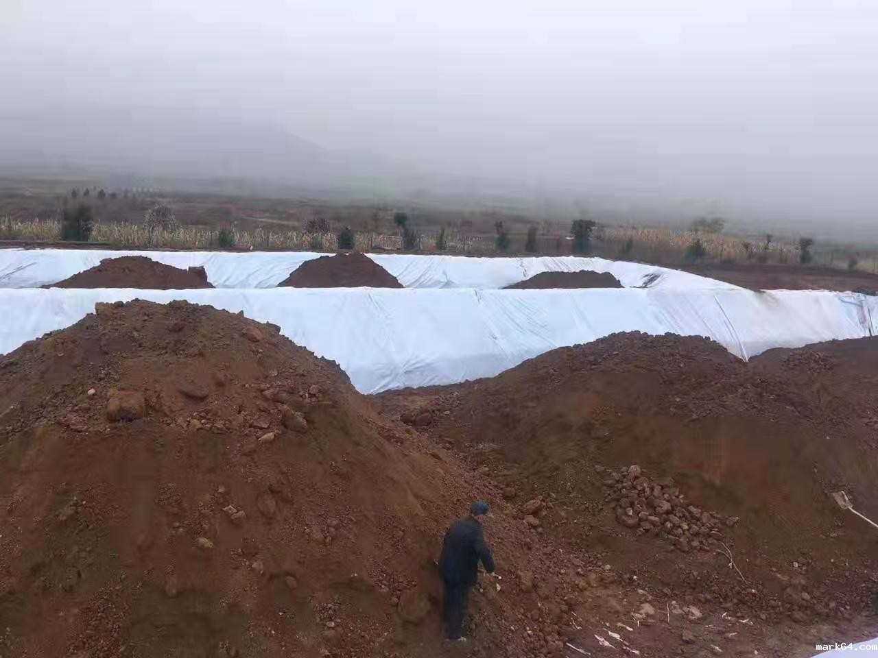 HDPE体育意甲国际米兰（莲藕专用膜）的栽培模式