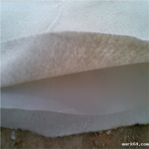 复合体育意甲国际米兰要求垂直于渠道轴线通幅铺设