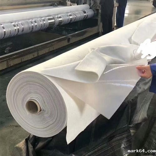 尾矿库采用体育意甲国际米兰防渗注意事项