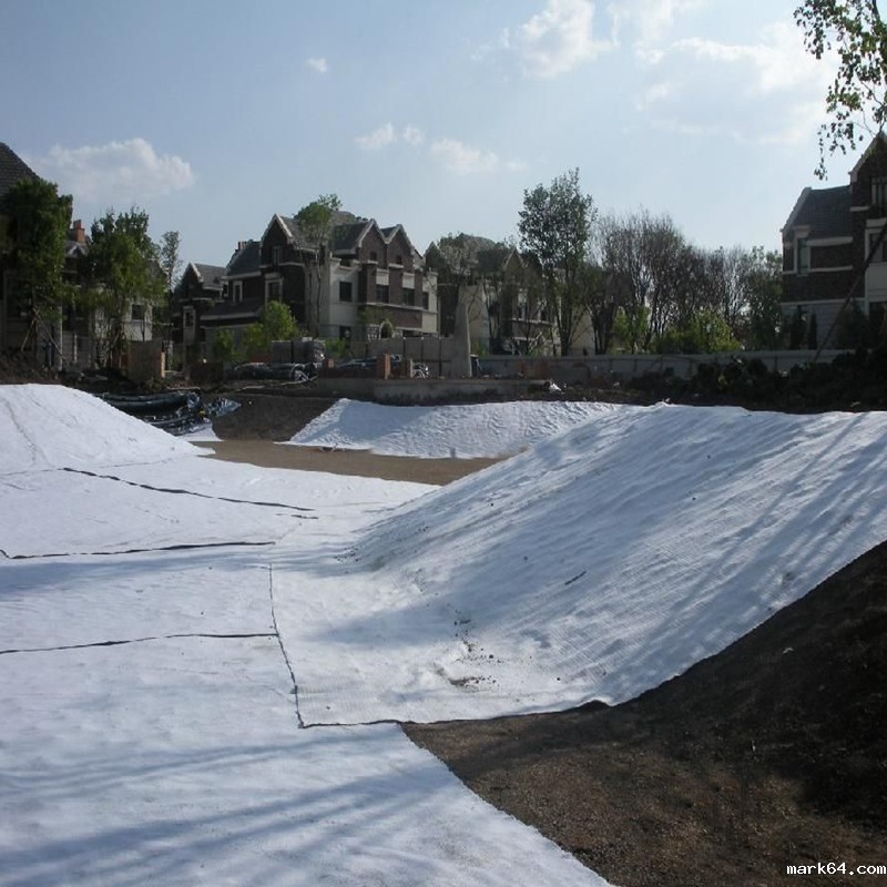 坝体体育意甲国际米兰防渗结构目前可能存在的失稳情况有哪些?