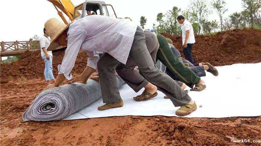 膨润土防水毯能辅助人工湖自净能力提高