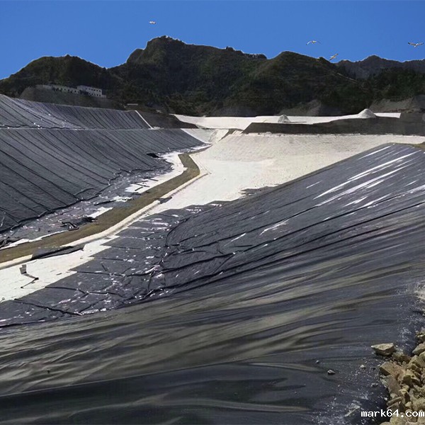 复合体育意甲国际米兰助力大藤峡一期上游土石围堰填筑