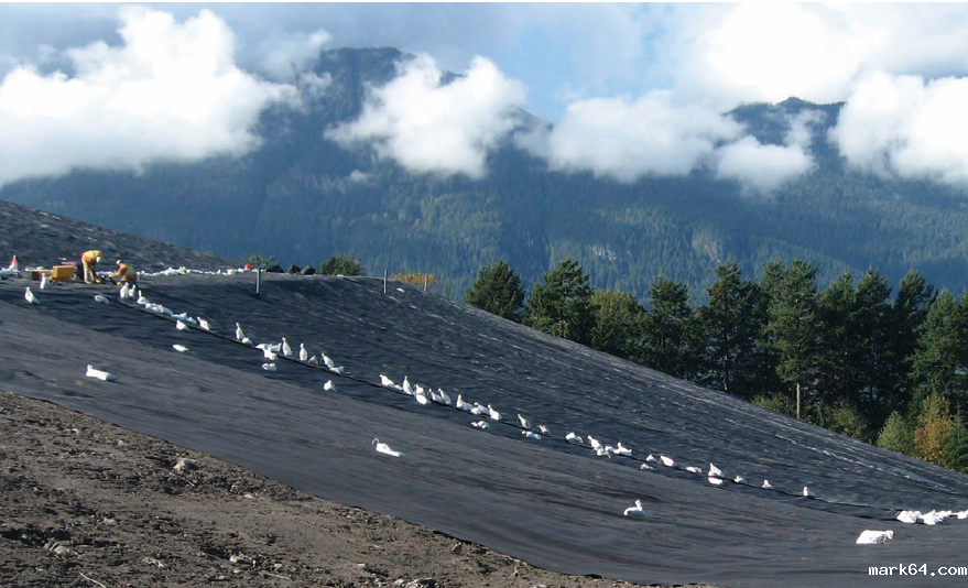 人工生态系统在黑臭河道治理中的应用