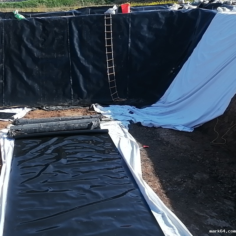 土石坝防渗设计采用体育意甲国际米兰的类型、材质和厚度