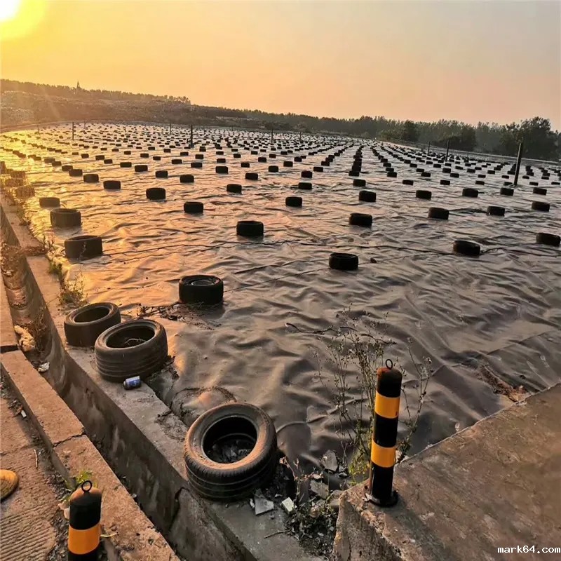 78.webp.jpg 78.webp.jpg