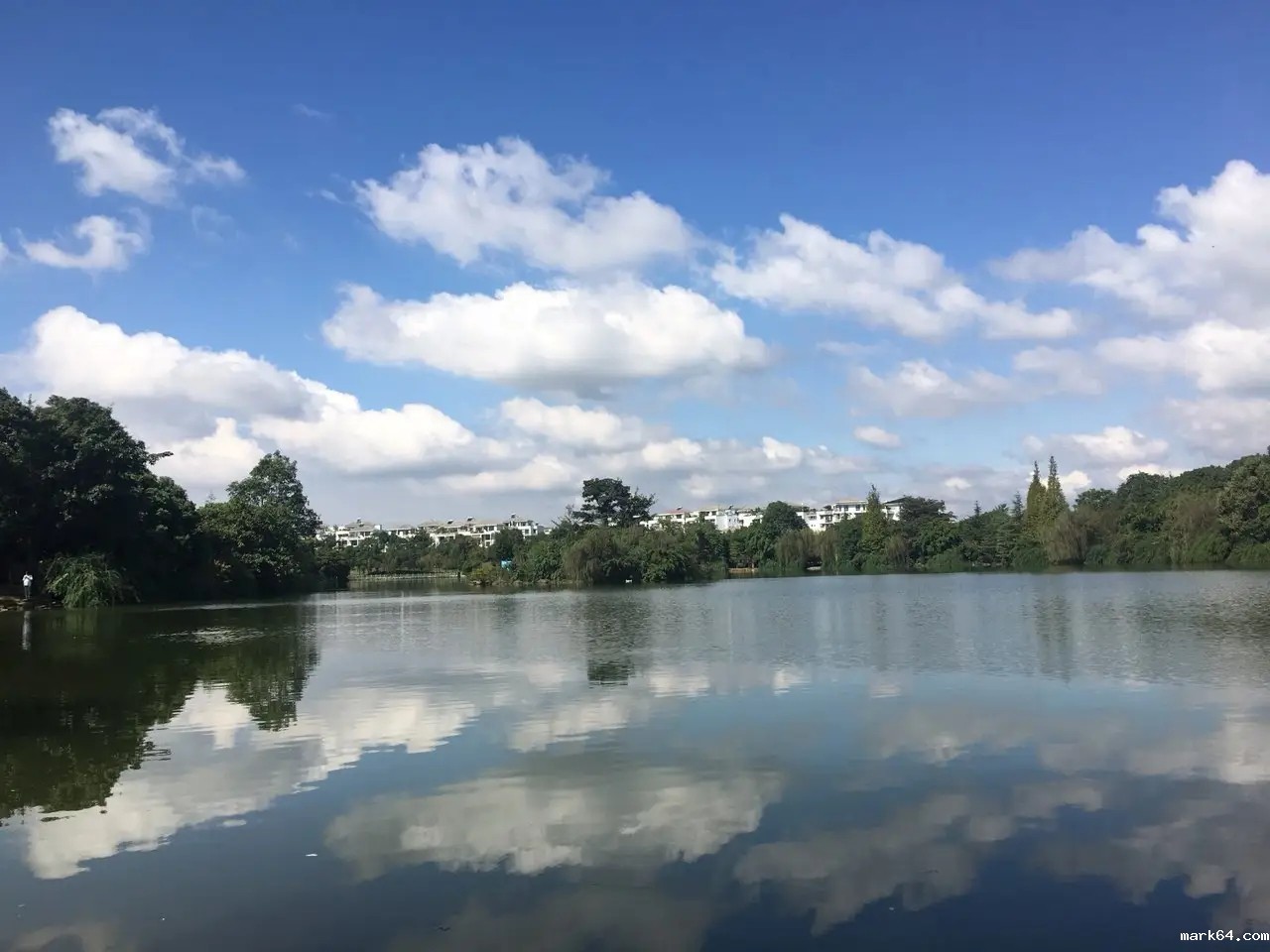 1.webp.jpg 1.webp.jpg